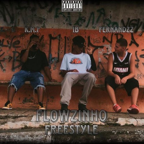 FLOWZINHO FREESTYLE cover art