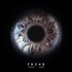 Focus-OAYaXQcGTgE