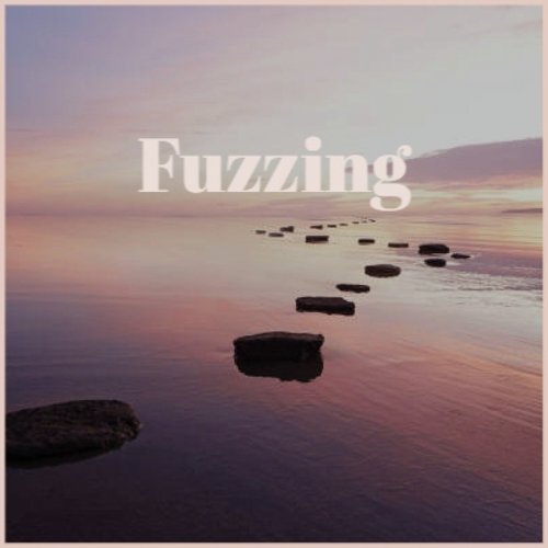 Fuzzing