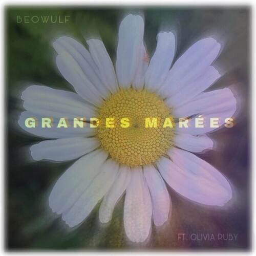 Grandes Marées