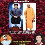 Samadhin Dar Pair Bhare Tun Aao Hali Mithrha