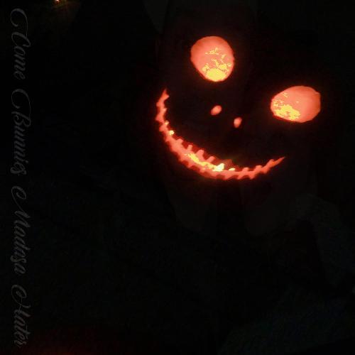 The Cold cover art
