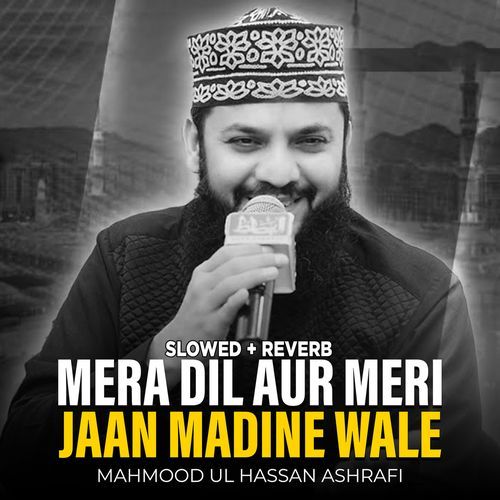 Mera Dil Aur Meri Jaan Madine Wale (Lofi-Mix)