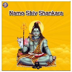 Namo Shiv Shankara