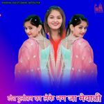 छोरा दुलोतन का लेके भग जा मेवाती