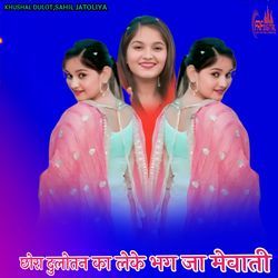 छोरा दुलोतन का लेके भग जा मेवाती