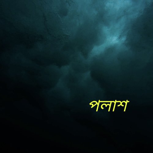 Palash cover art