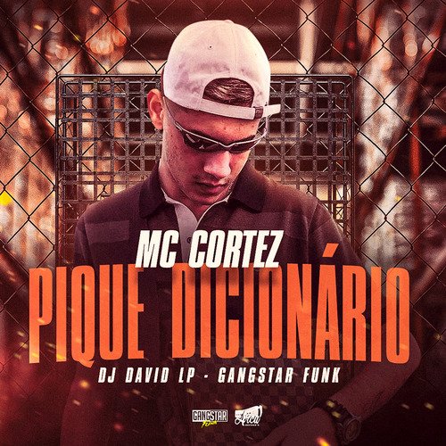 Pique Dicionário cover art
