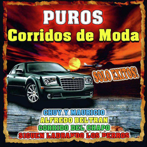 Puros Corridos de Moda, Solo Exitos