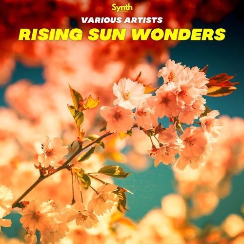 Everlasting (Shingo Nakamura Remix)