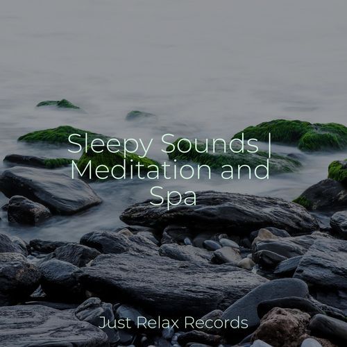 Sleepy Sounds | Meditation and Spa