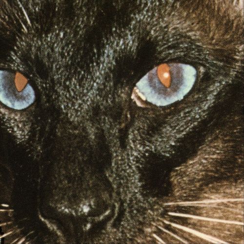 Kinski