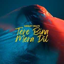 Tere Bina Mera Dil-LwIFXUFjUV8