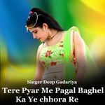 Tere Pyar Me Pagal Baghel Ka Ye Chhora Re