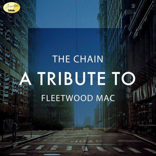 The Chain (Karaoke Version) cover art