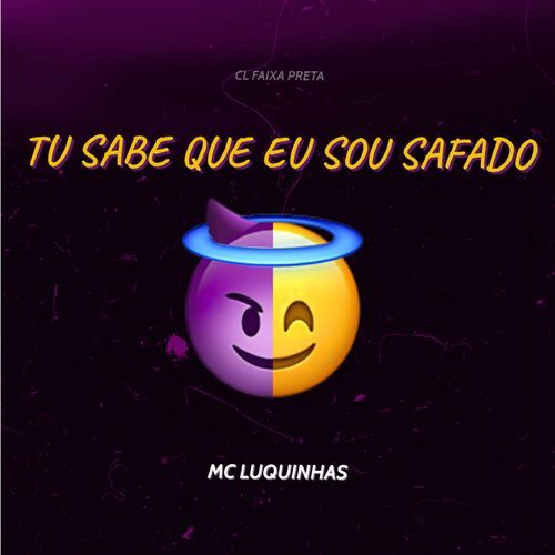 Tu Sabe Que Eu Sou Safado cover art