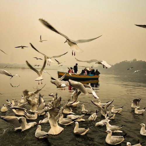 Ye Naam Hi Woh Jeet Hai