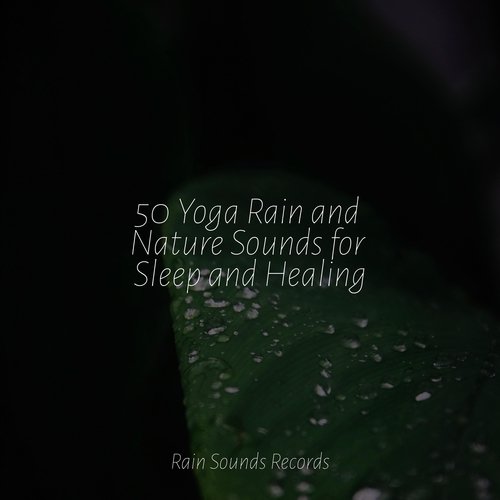 50 Yoga Rain and Nature Sounds for Sleep and Healing