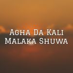 Agha Da Kali Malaka Shuwa