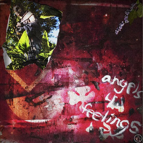 Embryo cover art