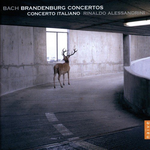 Concerto No 2 BWV1047 in F Major: II.Andante