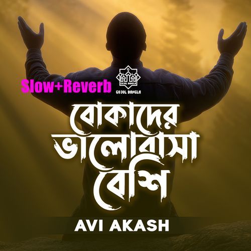 Bokader Bhalabasha Beshi (Slow+Reverb)