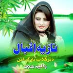 Da Tar Gulab Nazak Atan, Vol. 494