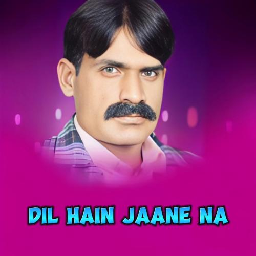 Dil Hain Jaane Na