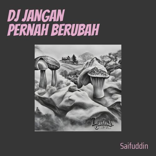 Dj Jangan Pernah Berubah-okv tunes
