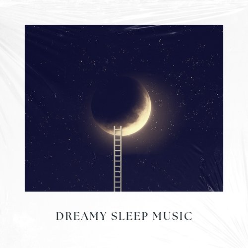 Dreamy Sleep Music_poster_image