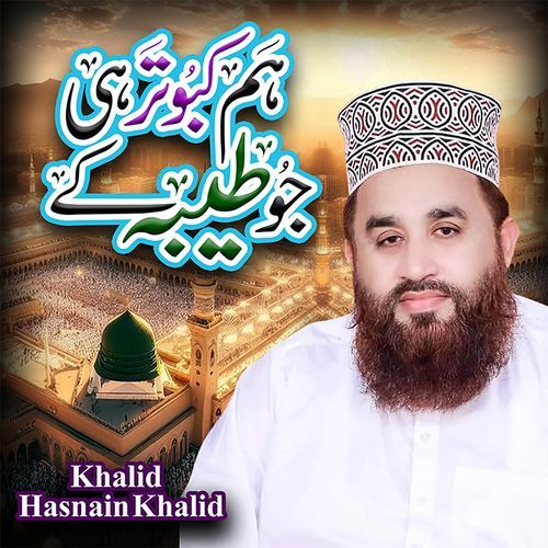 Hum Kabootar Hi Jo Taiba Ke