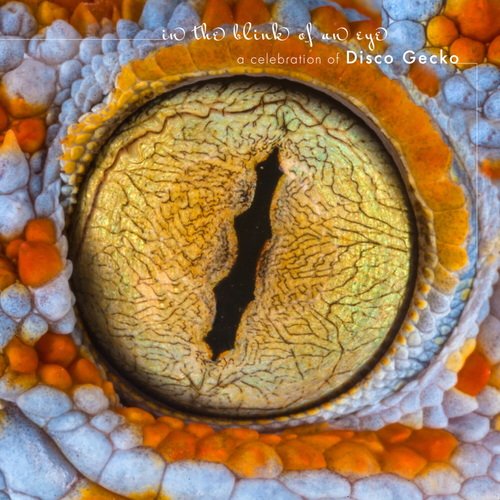 Huima (100th Monkey Remix) cover art