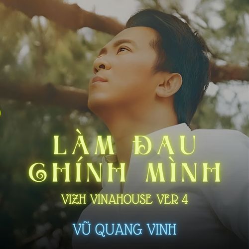 Làm Đau Chính Mình (Vizh Vinahosue Version 4)