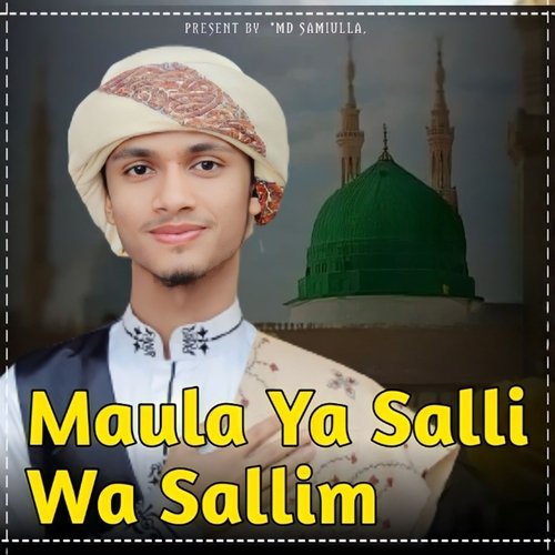 Maula Ya Salli Wa Sallim (Slowed & Reverb)