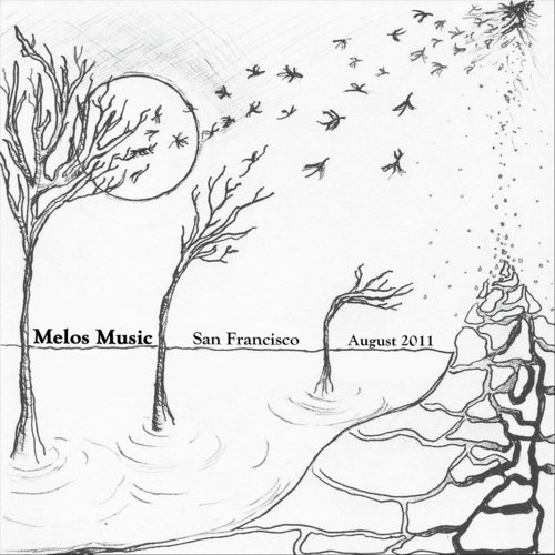 Acoustic Field cover art