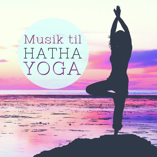 Hatha Yoga Maestro