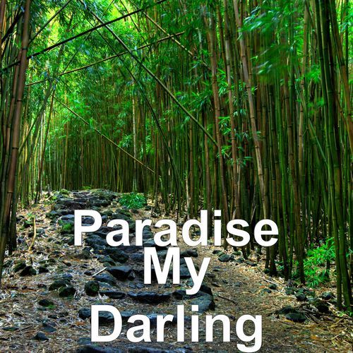 My Darling_poster_image