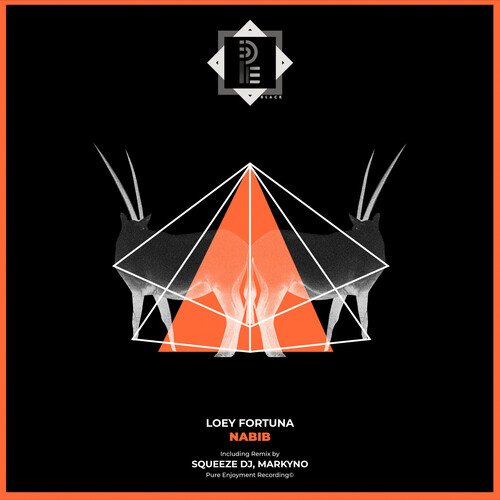 Nabib (Markyno Remix) cover art