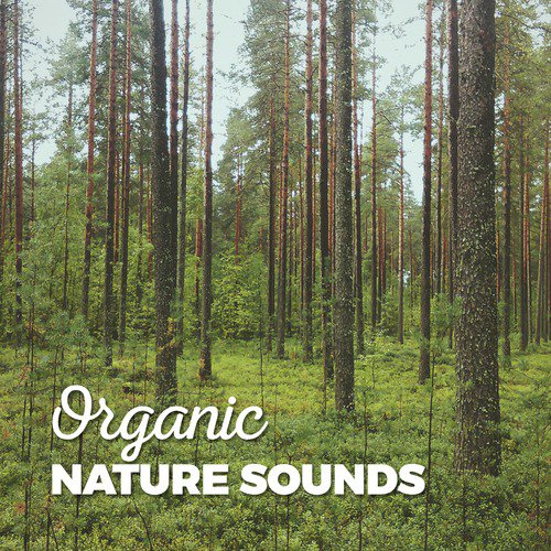 Organic Nature Sounds