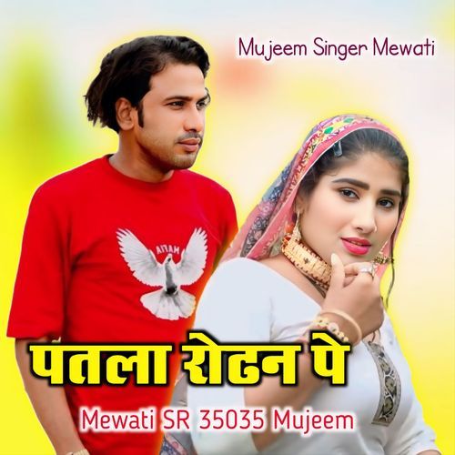 Patla Rodhan Pe Mewati SR 35035 Mujeem