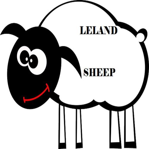 Sheep_poster_image