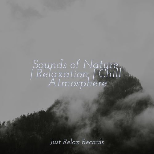 Sounds of Nature | Relaxation | Chill Atmosphere