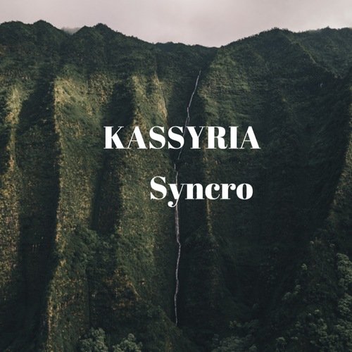 Syncro cover art