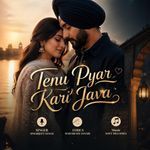 Tenu Pyar Kari Java