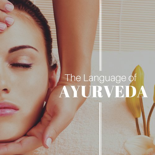 The Language of Ayurveda - Background Music