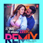 Tu Mila To Haina (Zeek Remix)[Remix By Zeek]