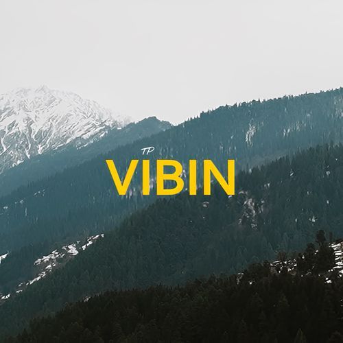 VIBIN