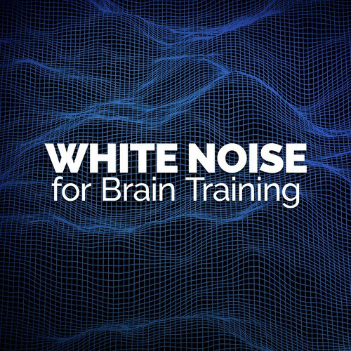 White Noise for Brain Training