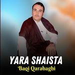 Yara Shaista