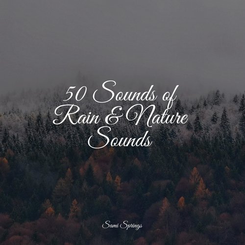 50 Calming Rain Tracks for Sleep_poster_image